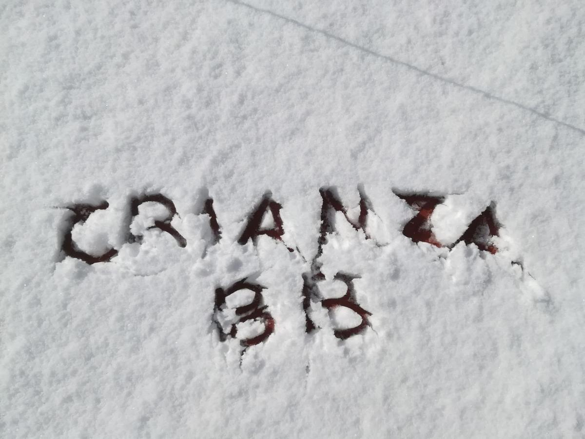 Crianza B&B Nápoles Exterior foto